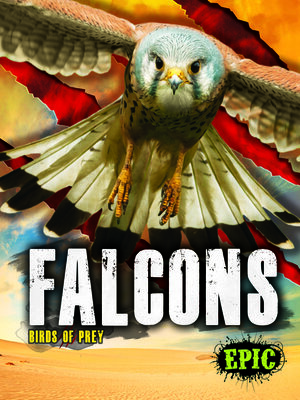 cover image of Falcons